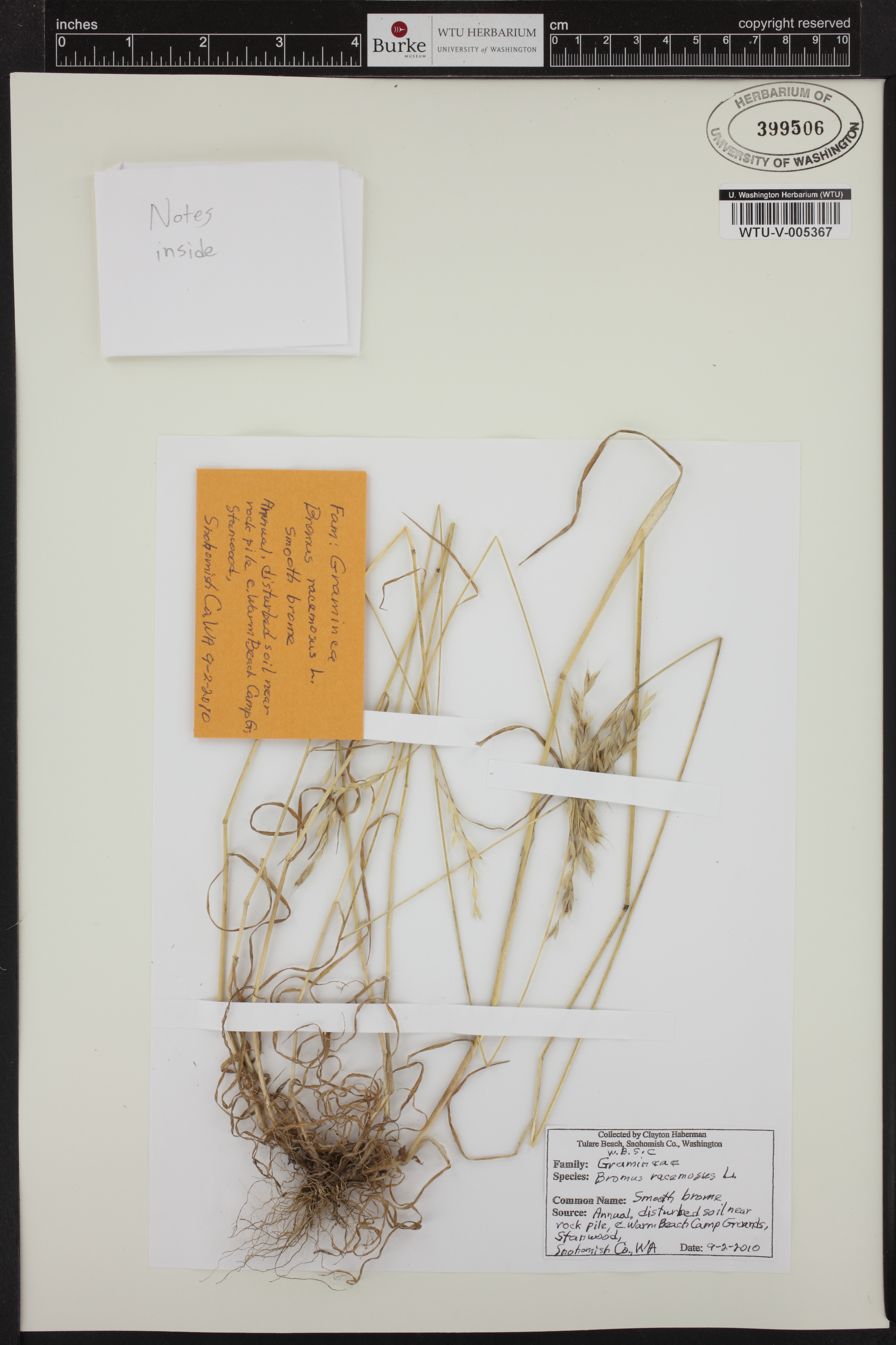 Collections Database Burke Museum